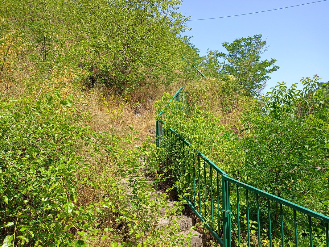 IMG20240622141259.jpg