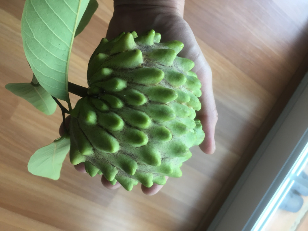 96D5705A-10B2-473C-806B-58E86A774E9C