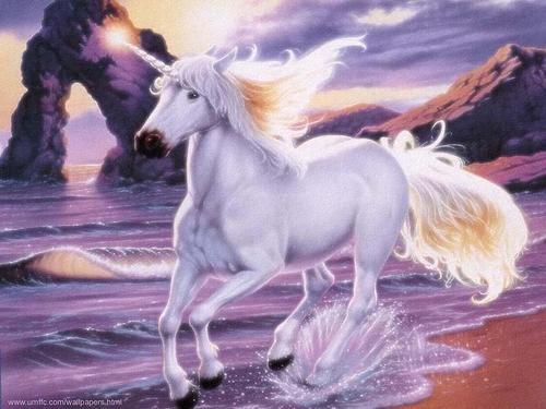 Siempre Libre & Glitters y Gifs Animados Nº340 - Página 16 Fantasy-unicorn-unicorns-13991998-500-375
