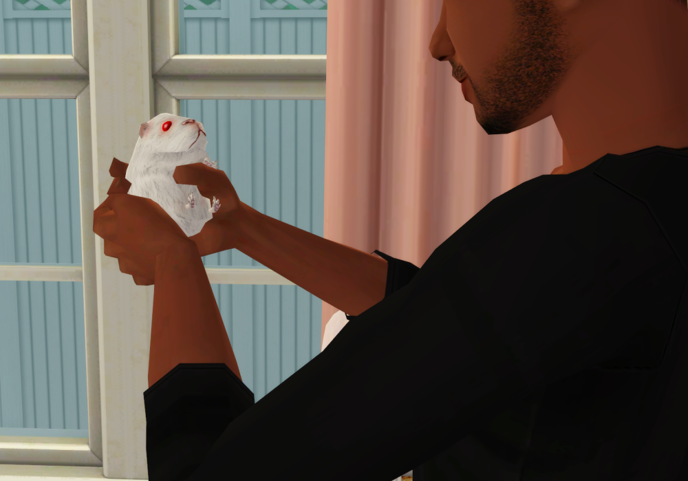 Sims2-EP9-RPC-2022-07-13-17-54-59-07