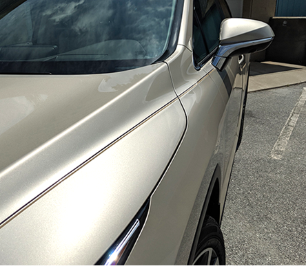 hand painted pinstriping hand-painted-pinstriping