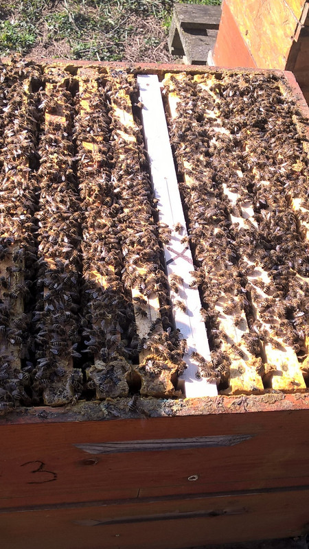 WP_20210303_10_19_52_Pro (1)