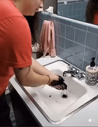 https://i.postimg.cc/Gpq8X2JC/ezgif-6-fb5c4f740c72.gif