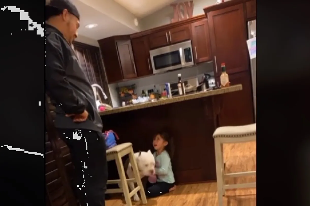 Perrito pitbull deficiente a su pequeña humana al escuchar llorar