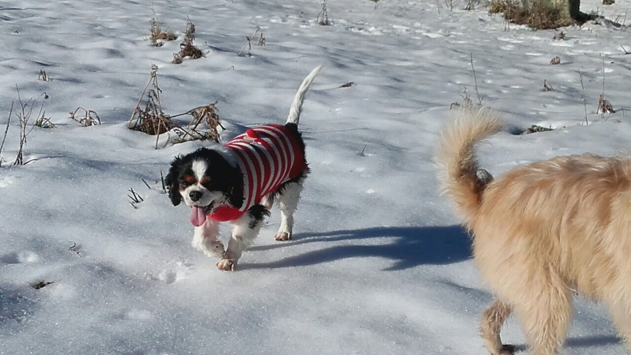 EA8A7579-4BB1-47A7-8E12-89B1542E8312