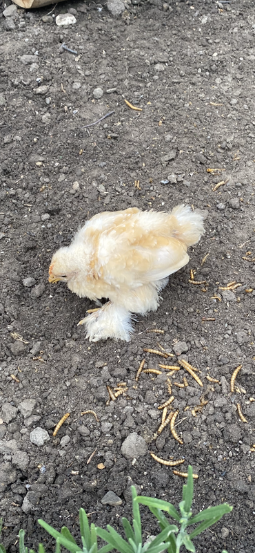 0A2D3CD3-8EE4-4EF2-963F-4B8541AF5A0E