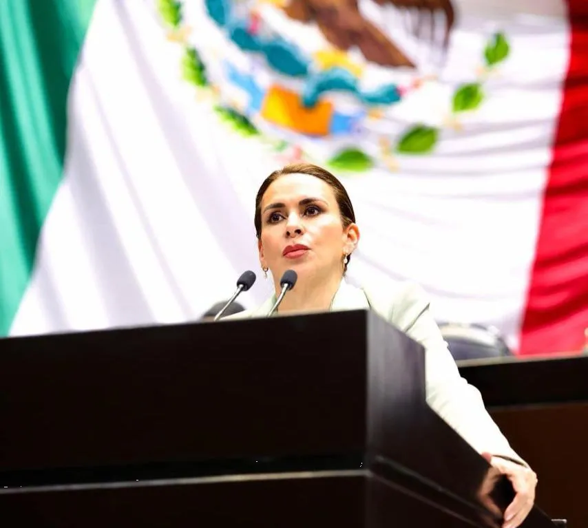 Publican en el DOF propuesta de Carolina Viggiano para ampliar recurso de apelación