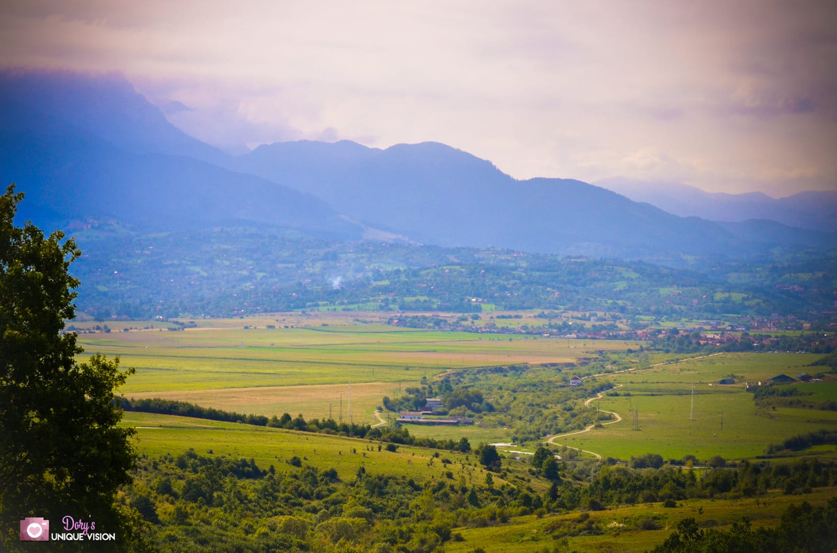 Whats-App-Image-2020-11-04-at-17-27-03-1