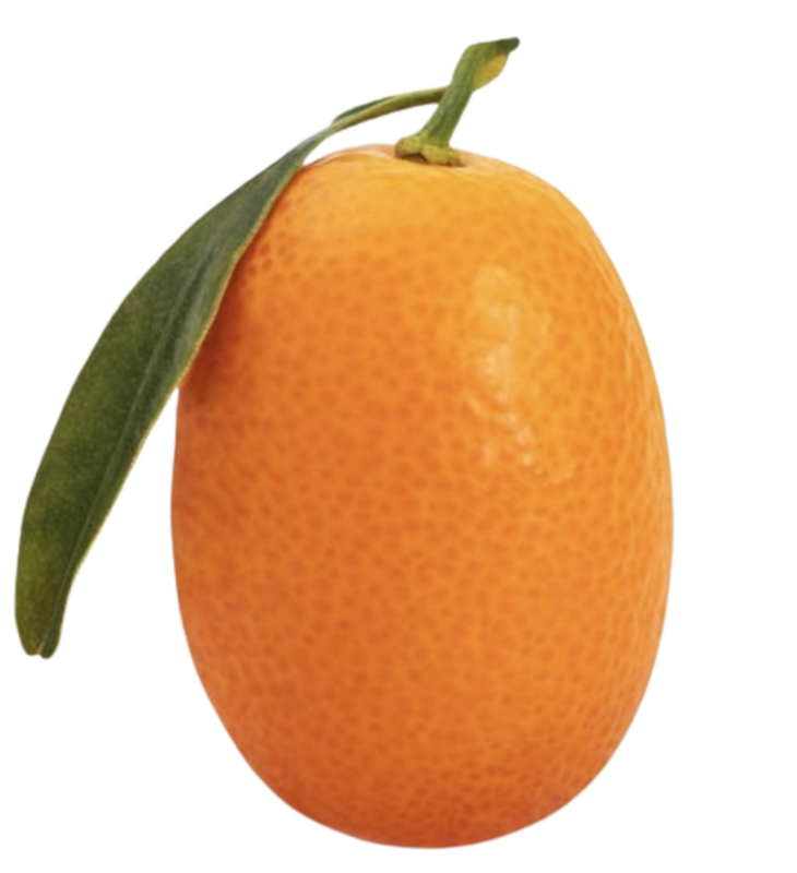 7E117771-120E-42AF-857D-DD6CD8E3B566