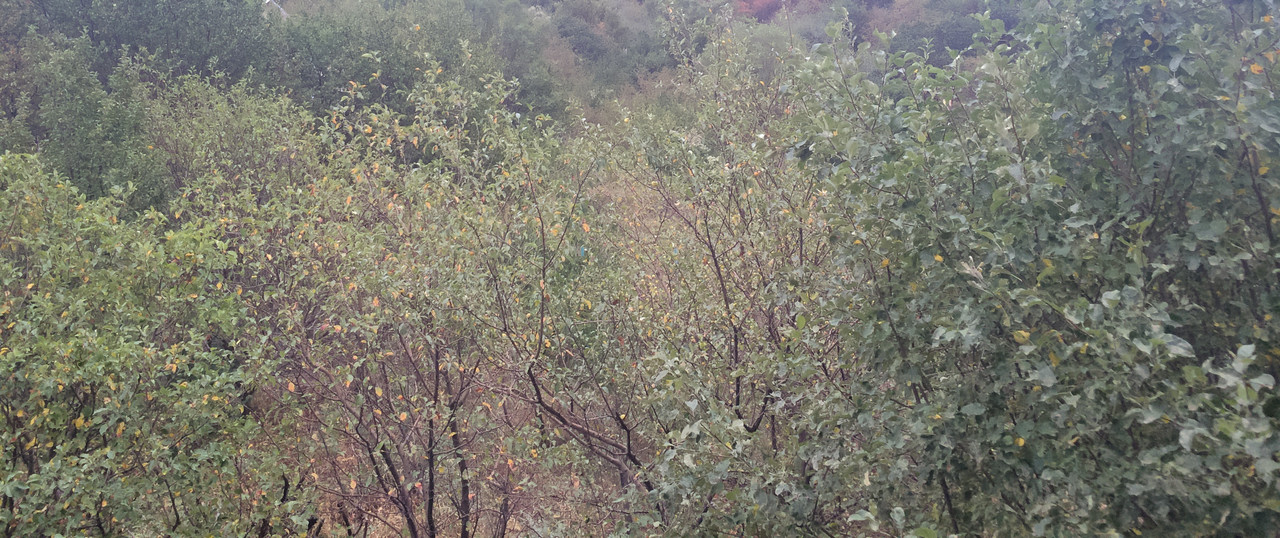 9F5B984B-BE80-4AF1-8E31-0F313B3BD422