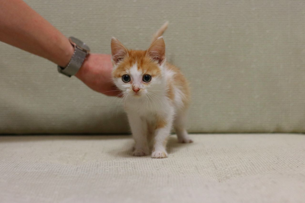 ABD3C8D8-3F34-4C9B-9F15-41AF9634BA58