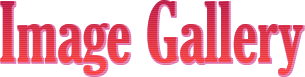 Image Gallery
