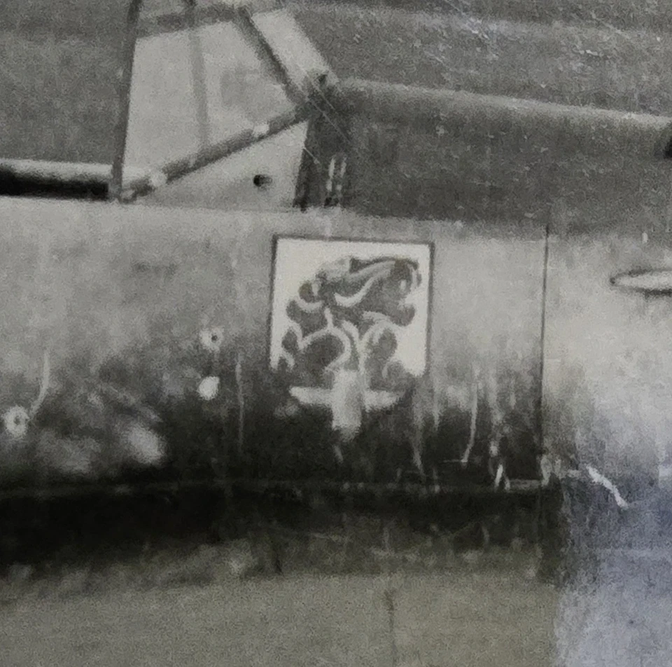 Foto Flugzeug Messerschmitt Bf 109 Staffelwappen Jagdgruppe Wien Aspern JG 76 (2)