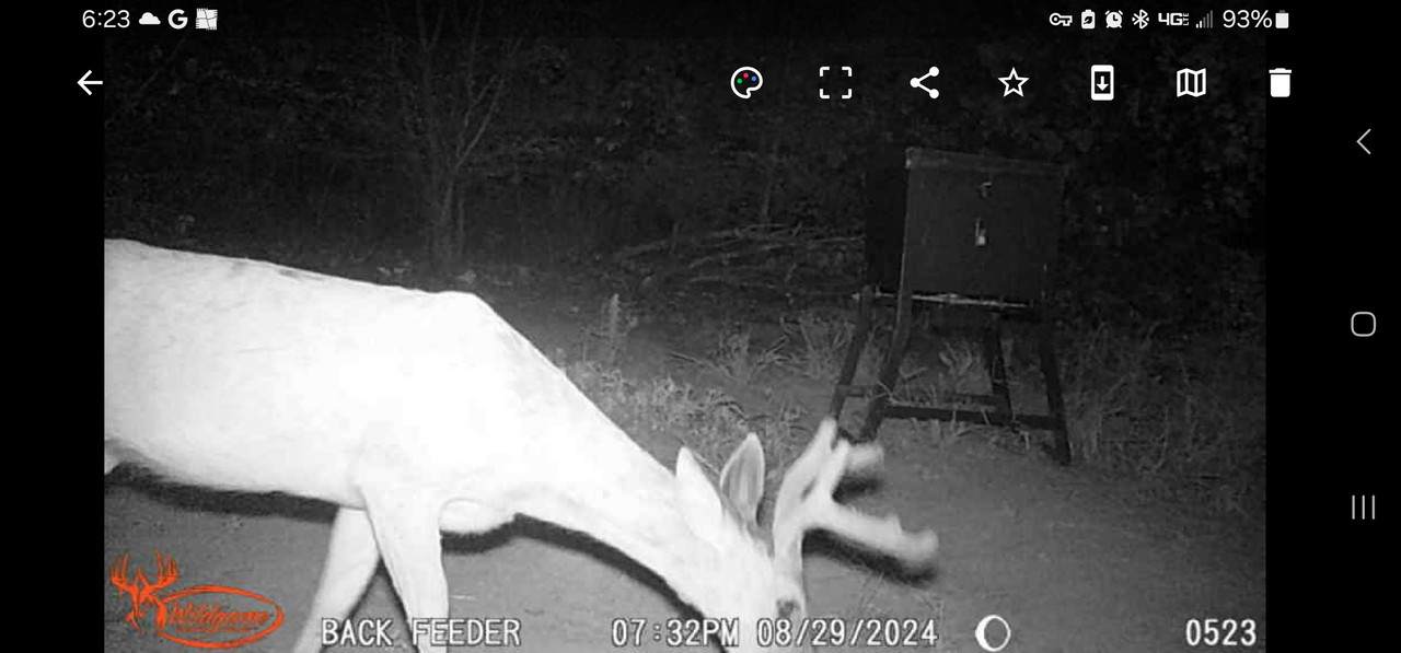 Screenshot_20240830_062334