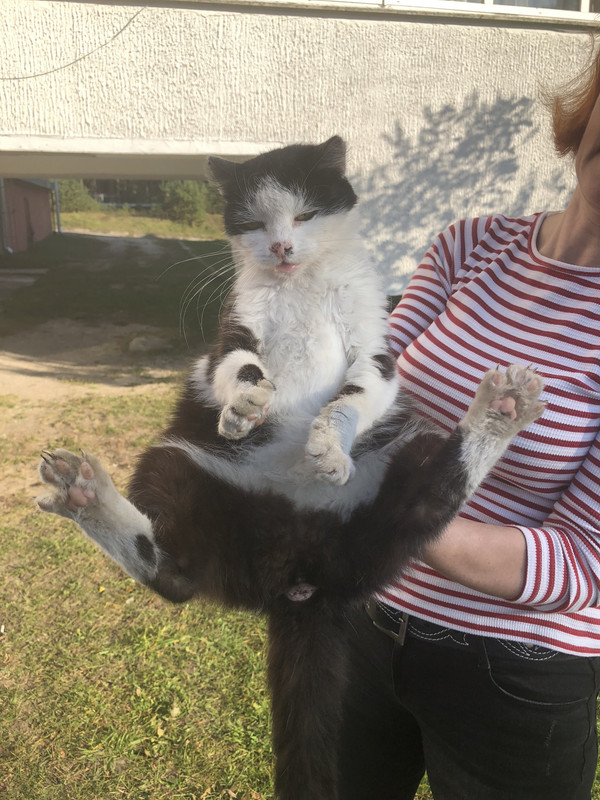 96D6DD75-8D22-4776-AF68-DC8B87717EA5