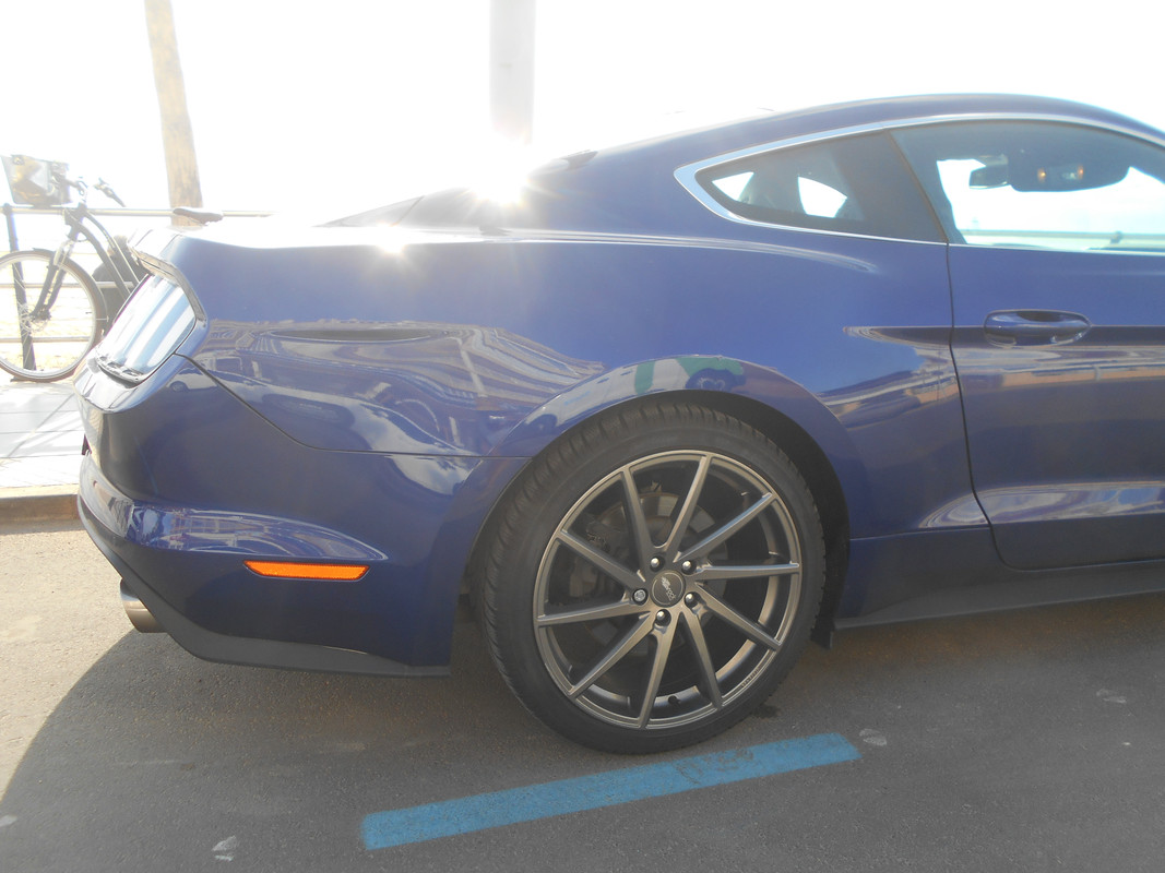 DSCN2396.jpg