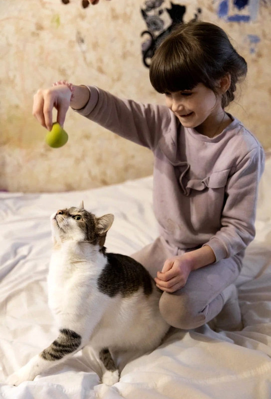 Изображение WhatsApp 2025-03-10 в 10.27.46_0b809dd0