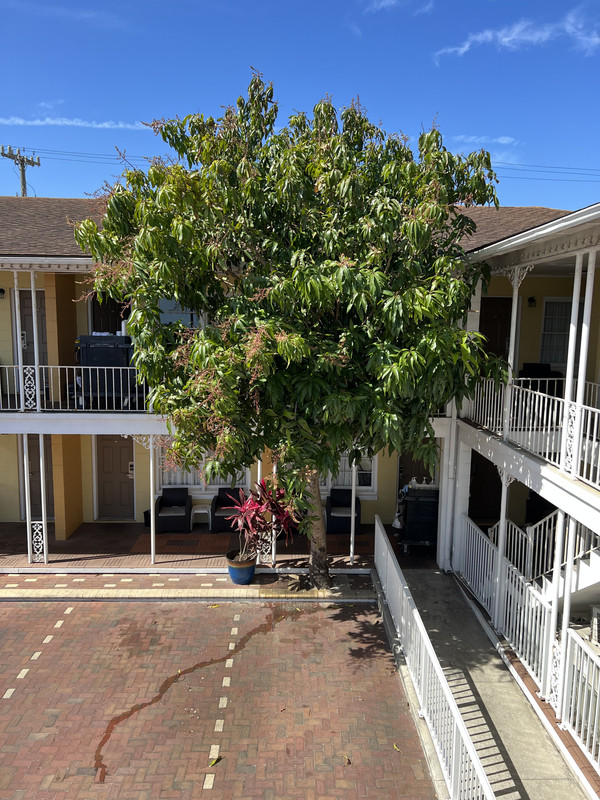 54C5A620-23E6-4763-A34B-DD2239C5E324