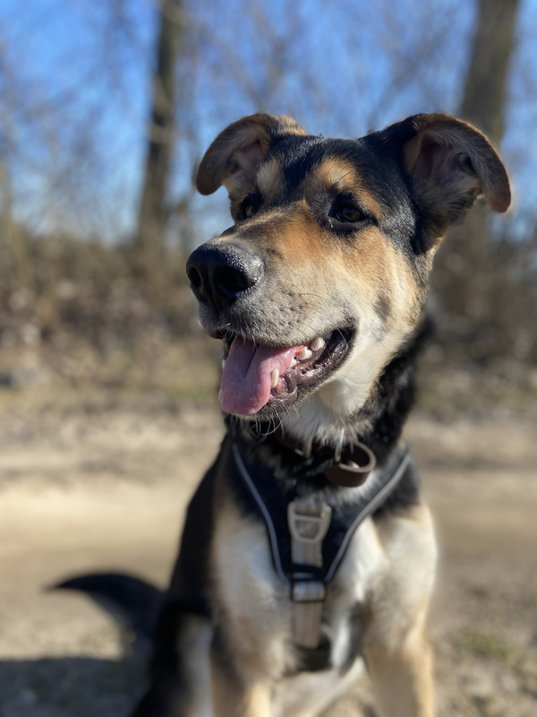 D72FF254-7737-471F-90BD-75CC5610418F