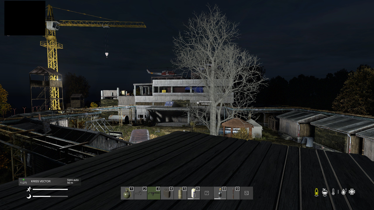 dayz.png