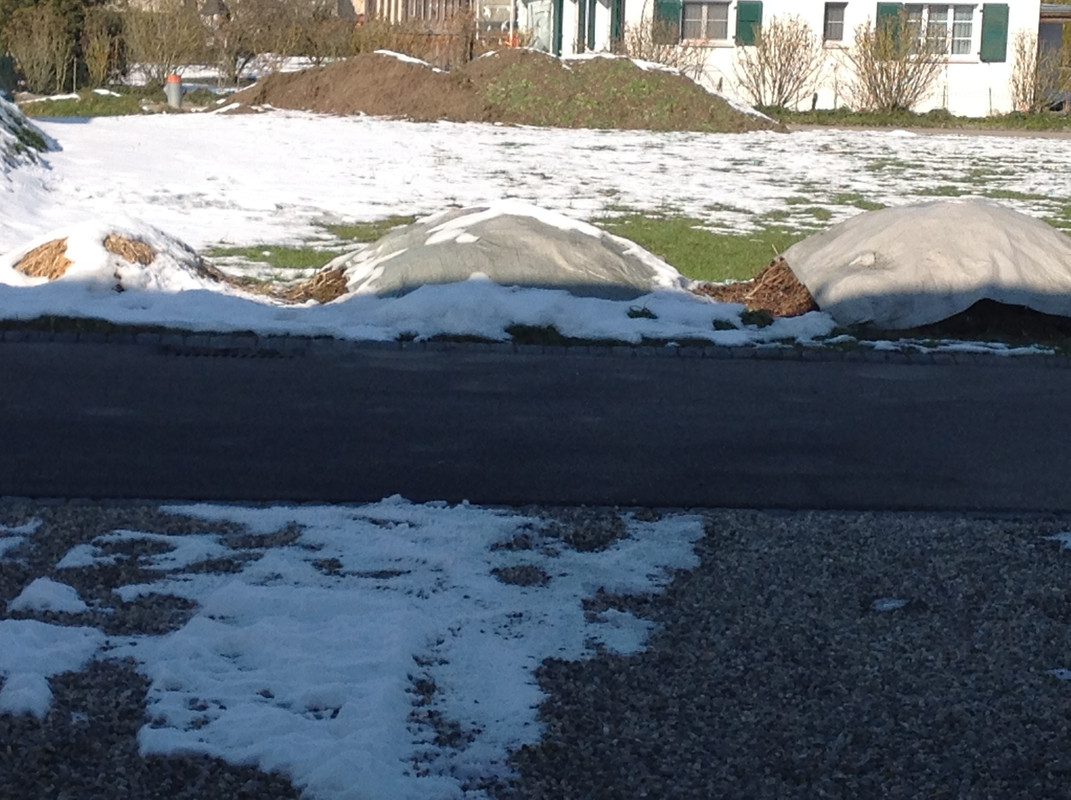 Garten Februar 12.02.2015 13 Uhr (17)