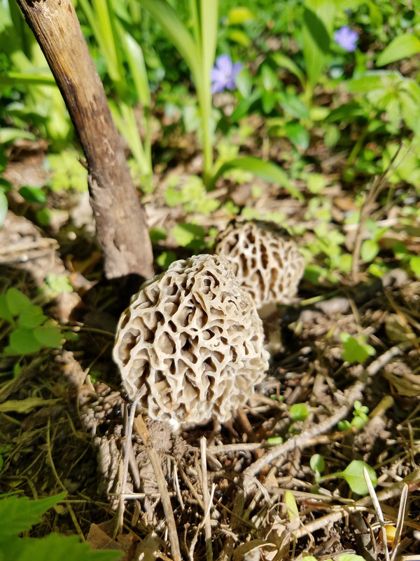 20180524_170028