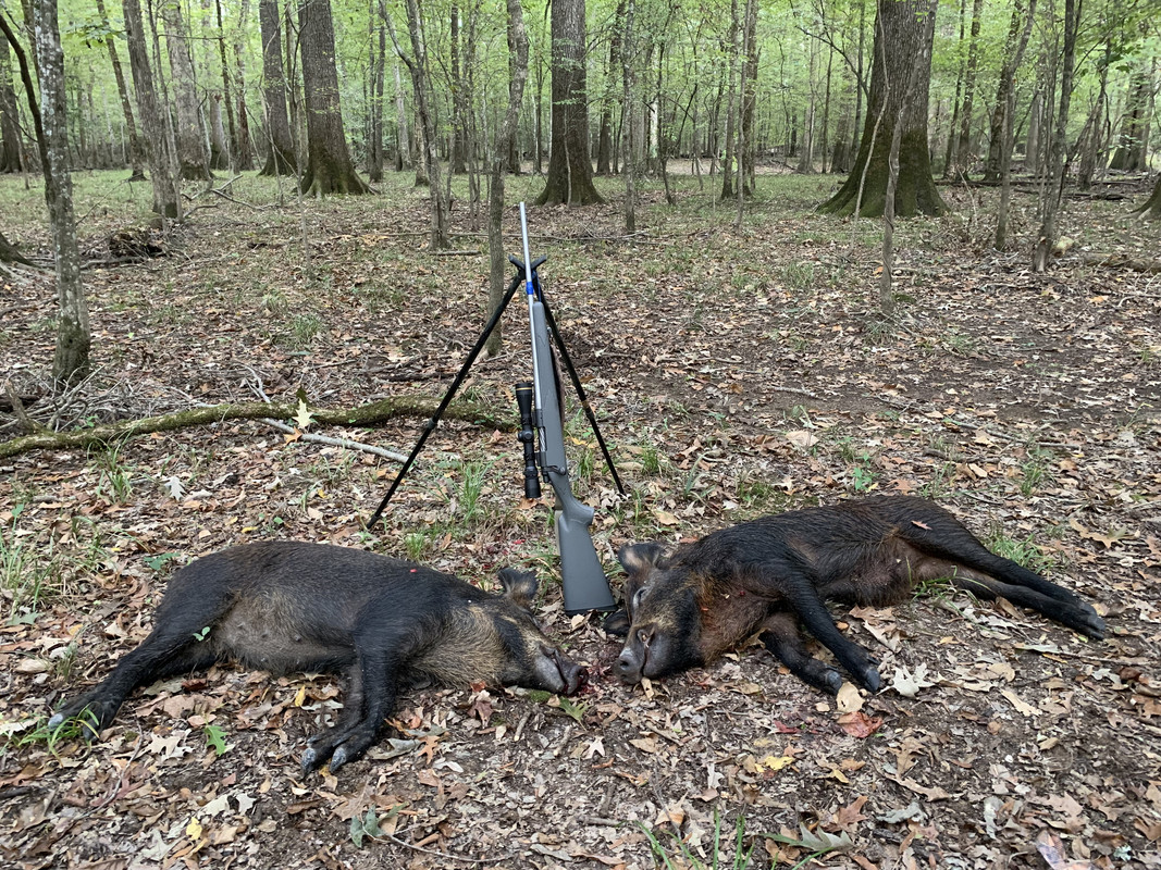 8EA94B79-871F-4BEC-8715-98185B35B8DD