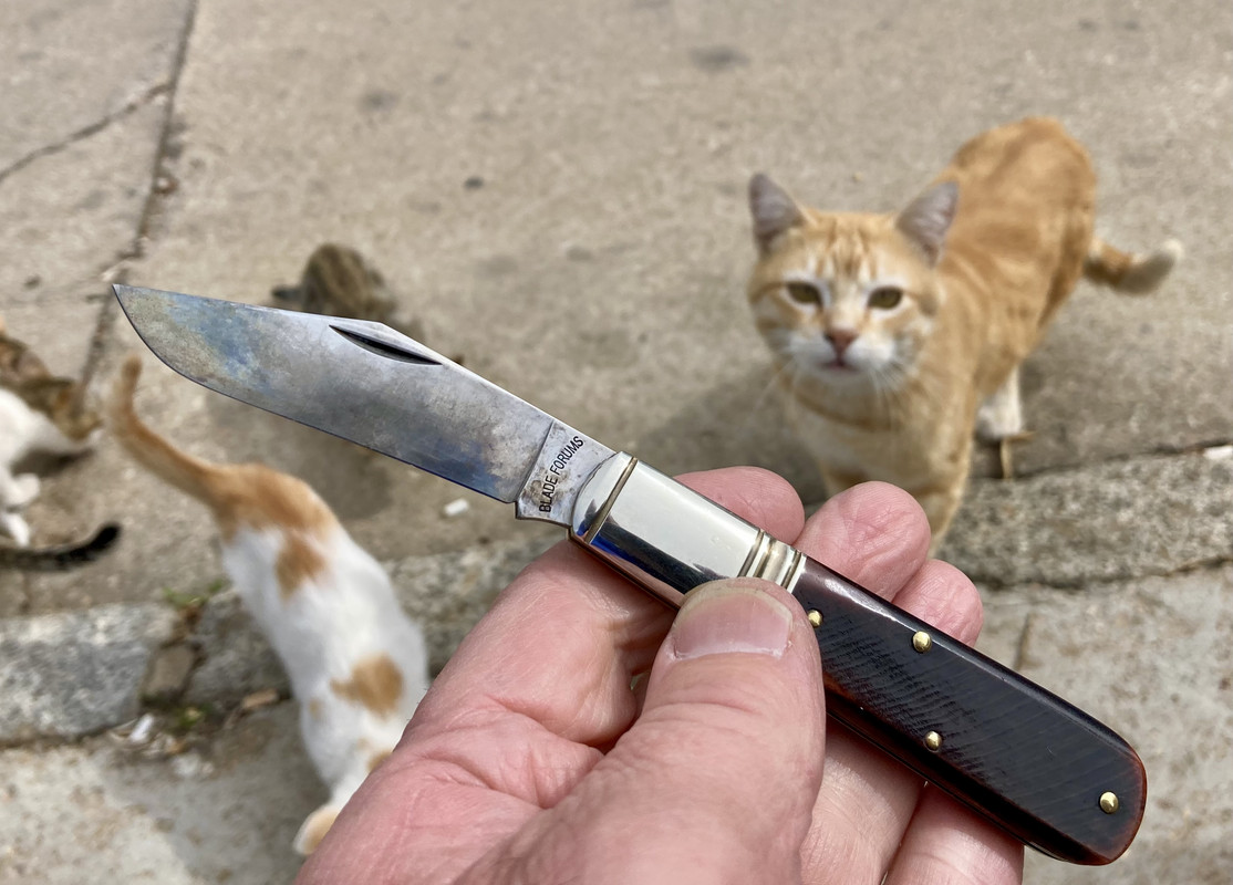 1E7D71FD-F74E-47E7-8ADA-6B0EA534785D