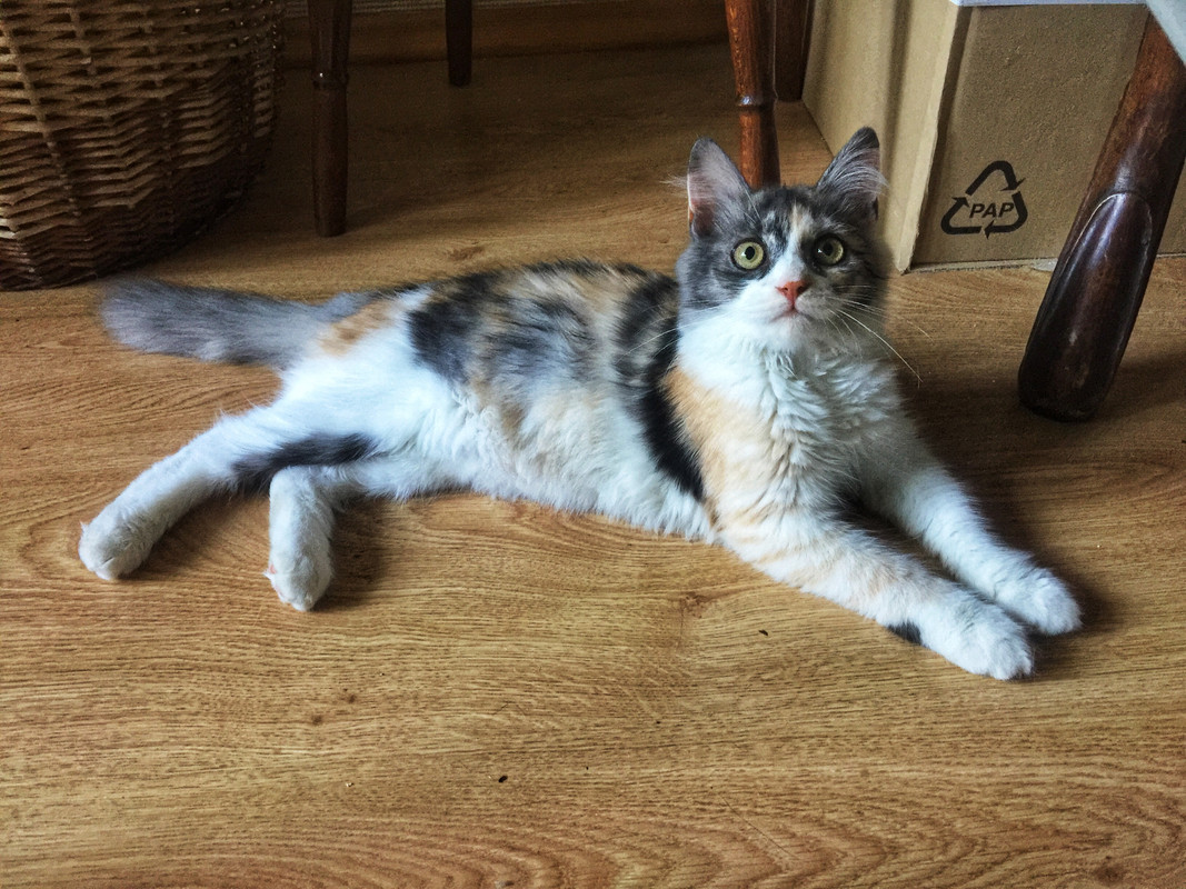 DCF789DA-9CD1-4EDD-B30F-6E6A1D323B2C