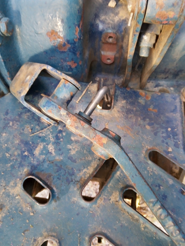 IMG_20211031_175130_3