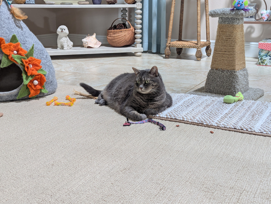 PXL_20250708_154417816