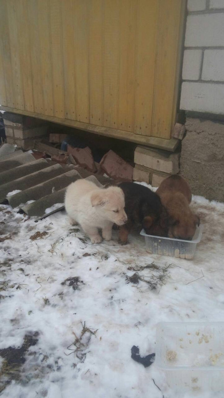 D6035A17-2D41-4C14-9C80-366ABD77C278