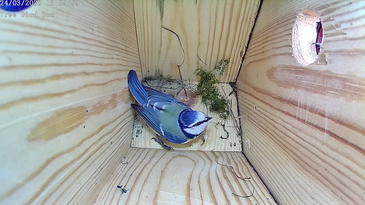 03909FC3-6191-424C-8E7D-C474C7D06FE3