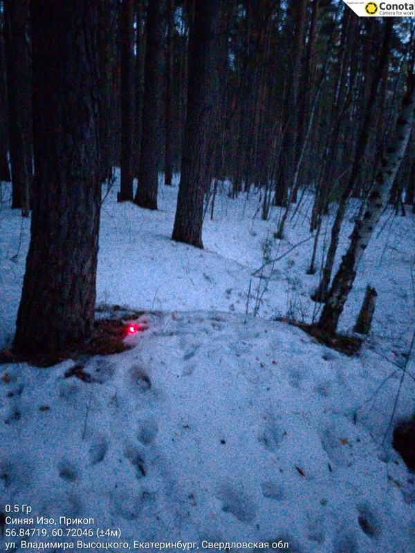 photo 32 2026 03 25 22 34 49