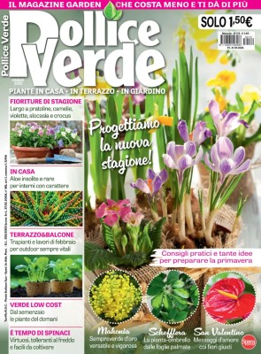 Pollice Verde - Febbraio 2025