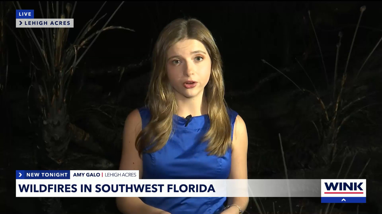 04.11 - 04.00.01 - WINK News at 11  ᴺᵉʷ. Local and regional news..ts_snapshot_16.46.269
