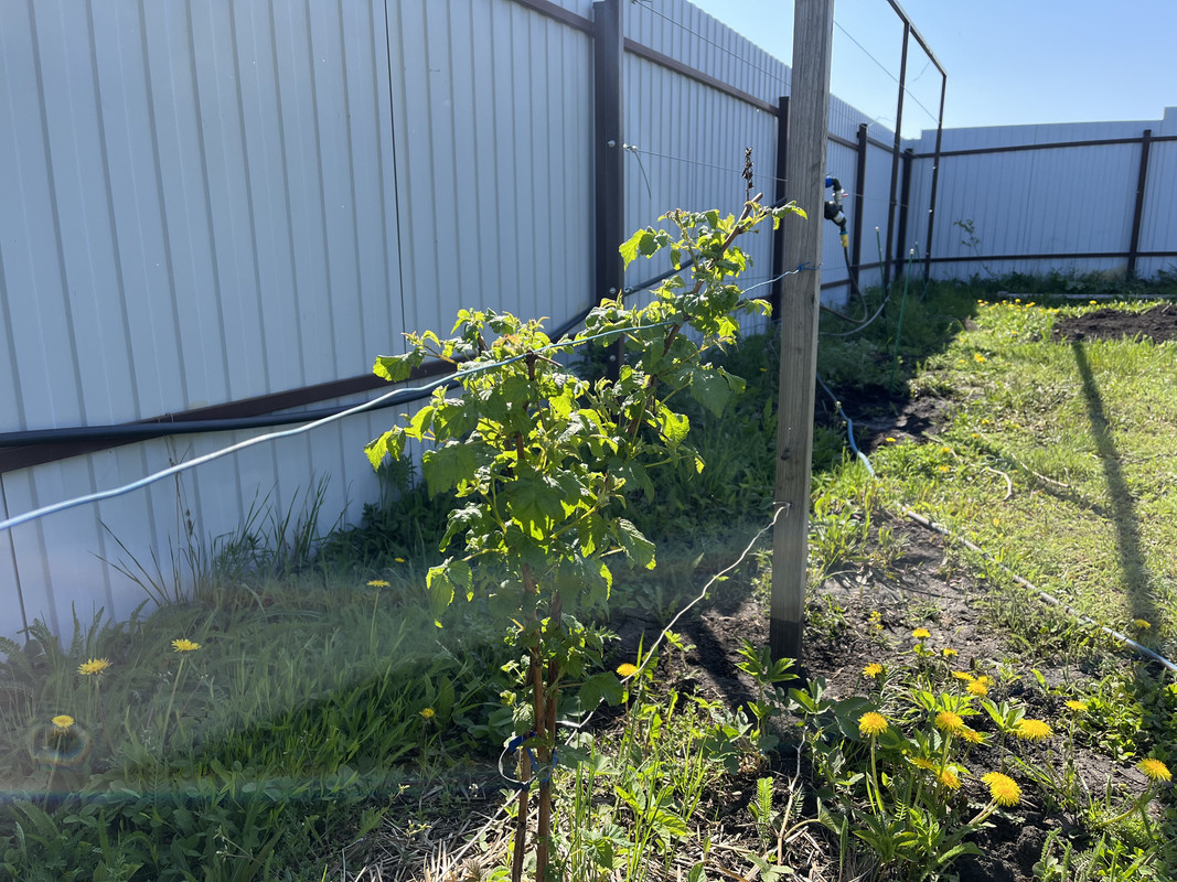 CD669937-99FA-4FDB-8D72-69C3194C048F