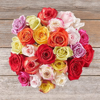 Imagen de la categoria rosas