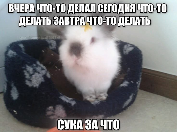 4dd8ddd5a40aa17648c1e7f6242abd1b.jpg