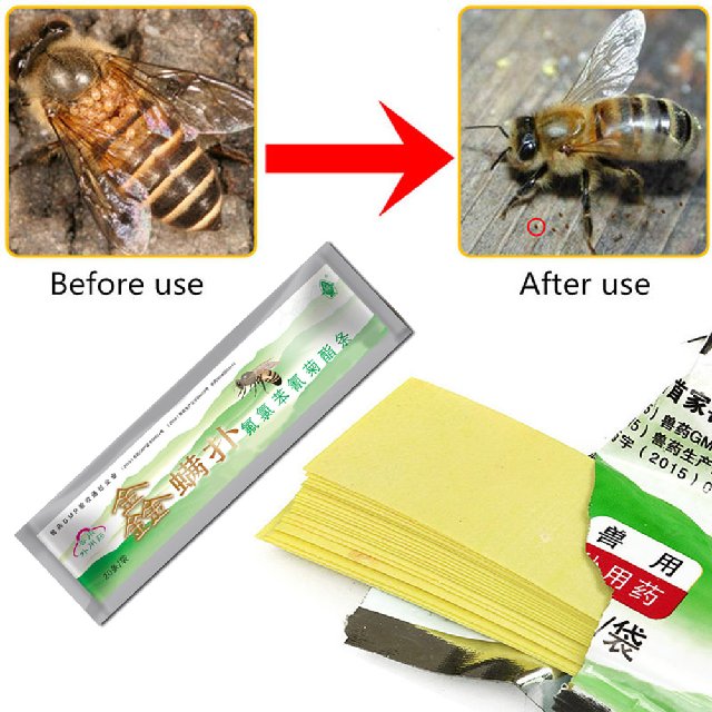 Bienenstock Seriennummer Bienen Imker Nummer