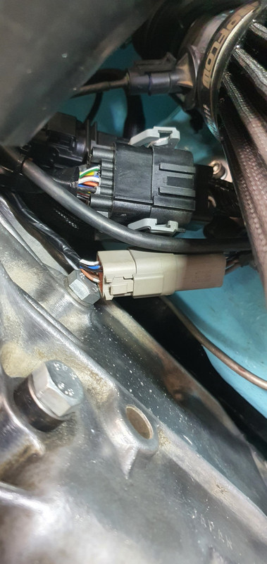 20240611_120053 (Custom)