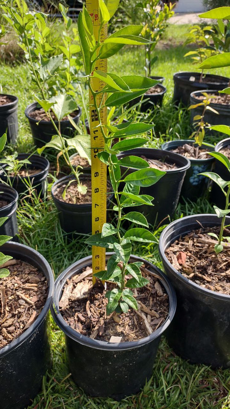 photo_2025-07-23_09-30-08 (10)