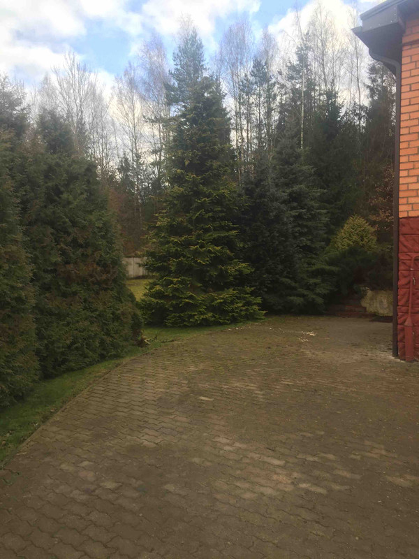 IMG-53396b3c622f1d13cf2aa76b2b23b6e2-V