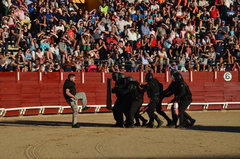 Exhibición Guardia Civil-30-9-2016 - Toledo y sus pueblos-1996/2026 (52)