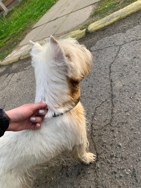 959DB1C0-137D-4F25-AB86-0E9DA5E939D4