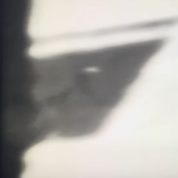 Screenshot 13 10 2026 172623 www youtube com