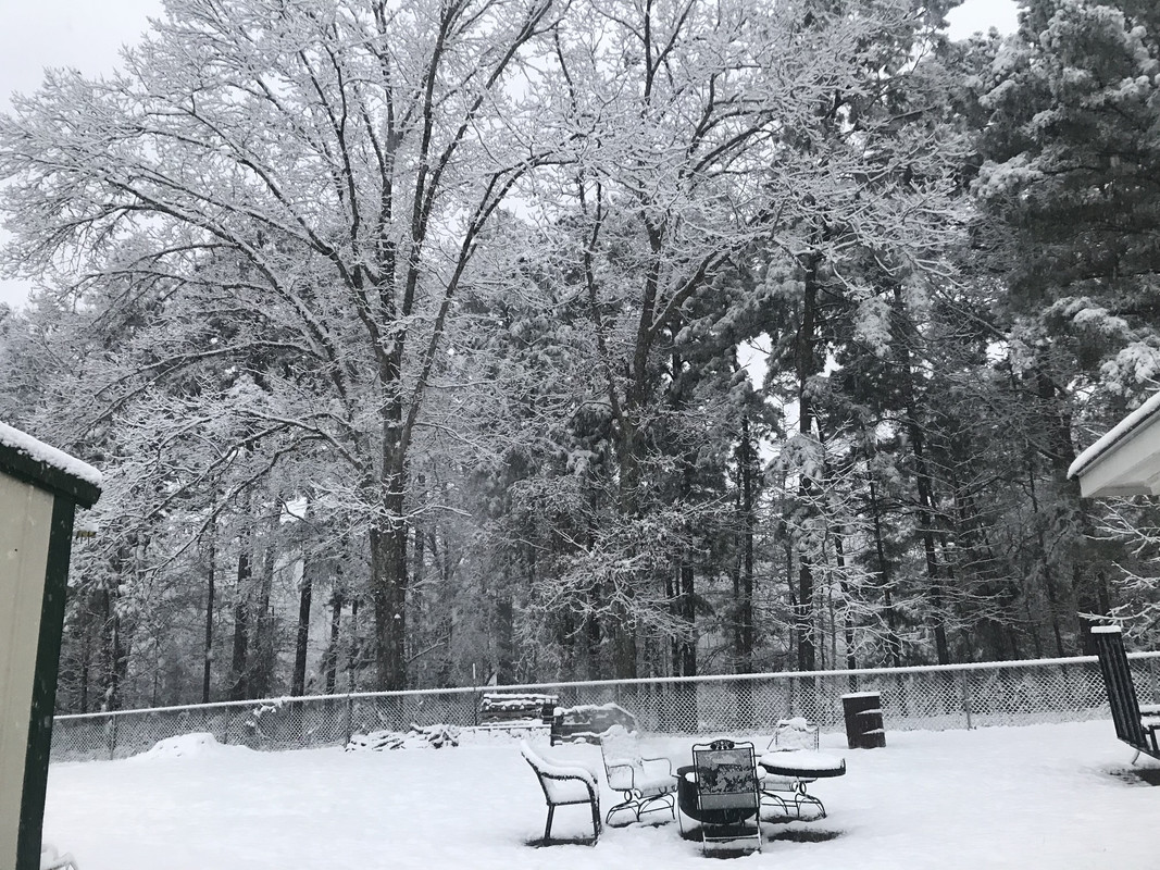 47D6F82B-A7FA-4457-929E-F7782D3B9B89