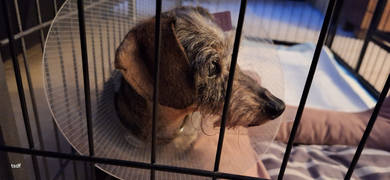 [Image: 20250221-213631.jpg]