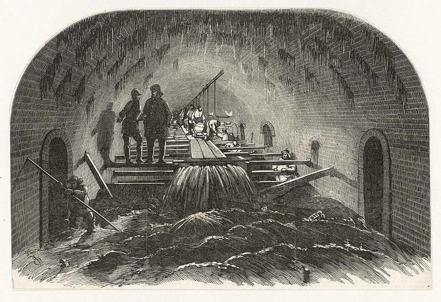[Image: Sewers.jpg]