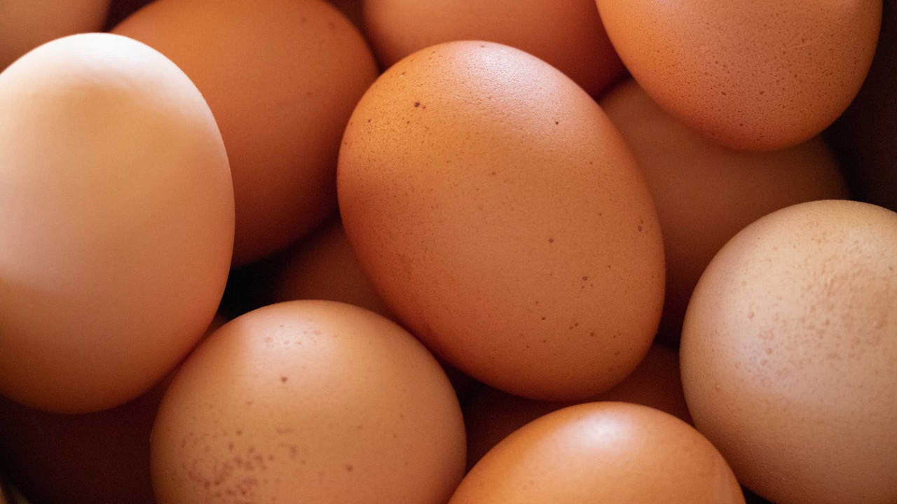 Tips para conservar los huevos correctamente
